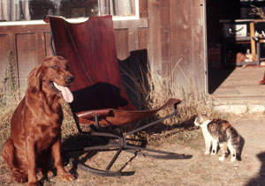 Rocking chair - one of a kind shown in front of the Soquel studio